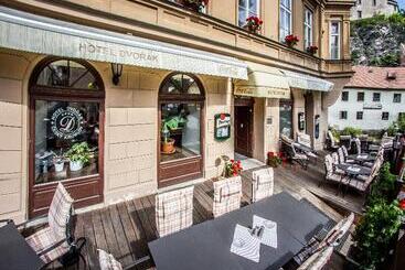 호텔 Dvorak Cesky Krumlov