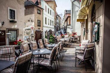 호텔 Dvorak Cesky Krumlov