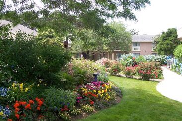 Margaritaville Resort Cape Cod