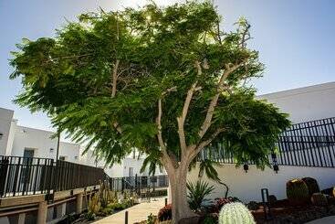 Hotel Taimar