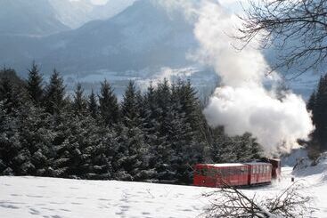 هتل Forsterhof Lebe Pur, Genieße Den Tag