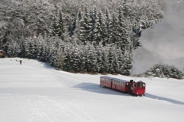هتل Forsterhof Lebe Pur, Genieße Den Tag