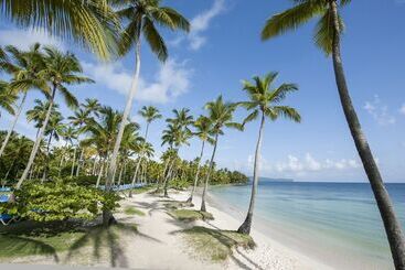 Wyndham Alltra Samana All Inclusive Resort