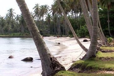 Wyndham Alltra Samana All Inclusive Resort