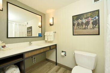 هتل Hilton Garden Inn Saratoga Springs
