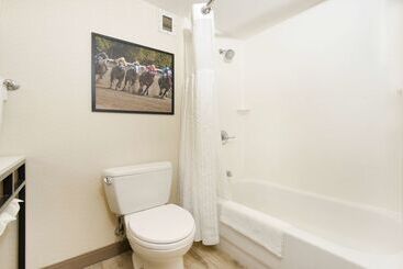 هتل Hilton Garden Inn Saratoga Springs