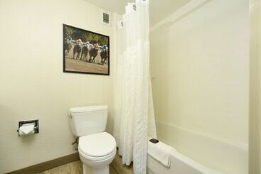 هتل Hilton Garden Inn Saratoga Springs