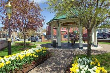 هتل Hilton Garden Inn Saratoga Springs