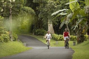 Maya Ubud Resort & Spa