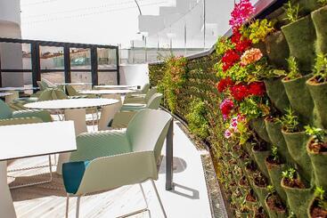 Hotel Taimar