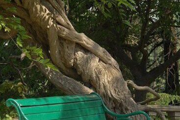 هتل Woodville Palace By Signum