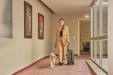Ratonda Centrum Hotels