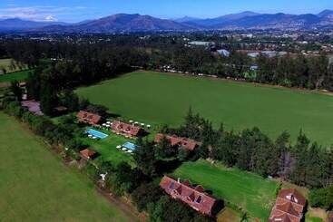 La Palma Polo Hotel   Airport Area