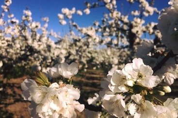 هتل روستایی Quinta Da Pereira E Enricas Agro Turismo