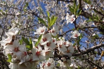 هتل روستایی Quinta Da Pereira E Enricas Agro Turismo
