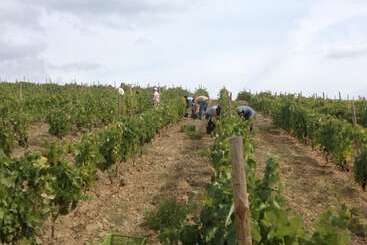 هتل روستایی Quinta Da Pereira E Enricas Agro Turismo