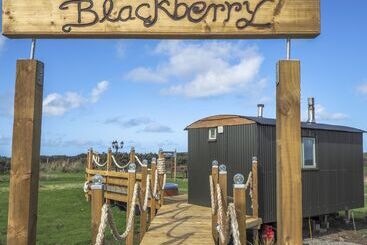Trenewydd Farm Holiday Cottages