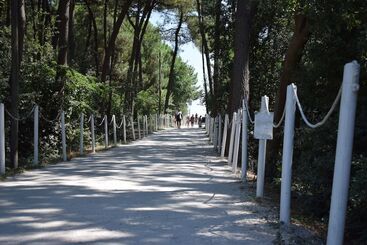 هتل Club Del Sole Adriano Family Camping Village