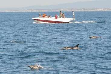 Boutique Hotel Marina S Roque
