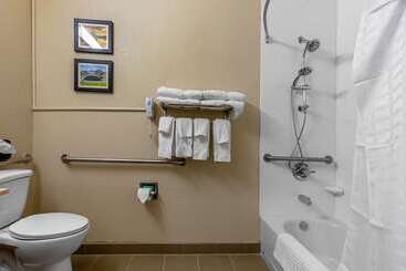 هتل Comfort Inn & Suites Montgomery East Carmichael Rd