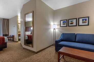 هتل Comfort Inn & Suites Montgomery East Carmichael Rd