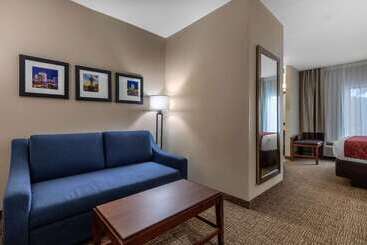 هتل Comfort Inn & Suites Montgomery East Carmichael Rd
