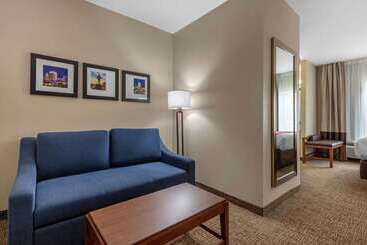 هتل Comfort Inn & Suites Montgomery East Carmichael Rd