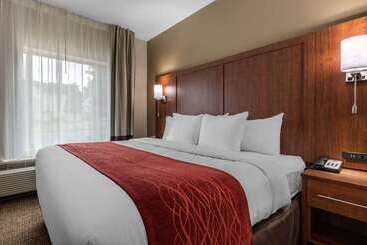 هتل Comfort Inn & Suites Montgomery East Carmichael Rd