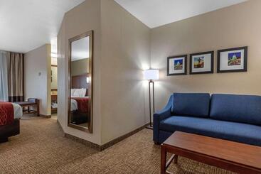 هتل Comfort Inn & Suites Montgomery East Carmichael Rd