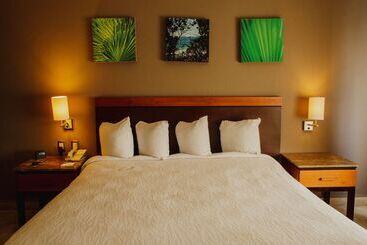 هتل Hilton Garden Inn Boca Del Rio Veracruz