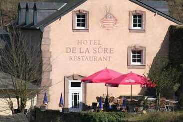 Logis Gourmet & Relax Hotel De La Sure