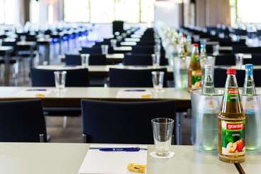 هتل Park Plaza Trier
