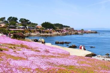 هتل Sea Breeze Inn  Pacific Grove