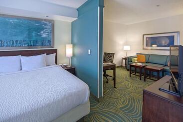 هتل Springhill Suites By Marriott Greensboro