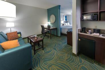 هتل Springhill Suites By Marriott Greensboro