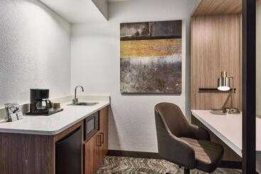 هتل Springhill Suites Phoenix Tempe Airport