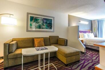 هتل Springhill Suites By Marriott Savannah Midtown