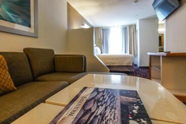 هتل Springhill Suites By Marriott Savannah Midtown
