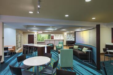 هتل Springhill Suites By Marriott Williamsburg