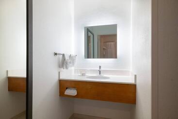 هتل Springhill Suites By Marriott Williamsburg
