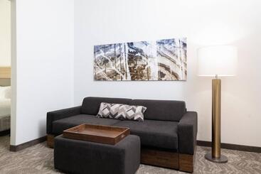 هتل Springhill Suites By Marriott Williamsburg