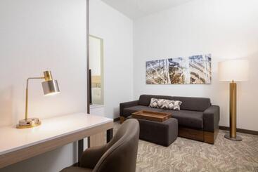 هتل Springhill Suites By Marriott Williamsburg