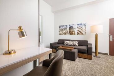 هتل Springhill Suites By Marriott Williamsburg