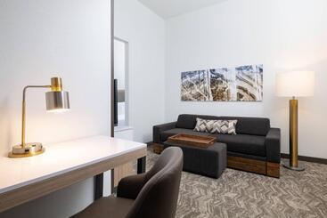 هتل Springhill Suites By Marriott Williamsburg
