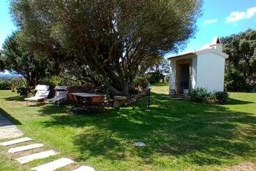 B&b Andrieddu