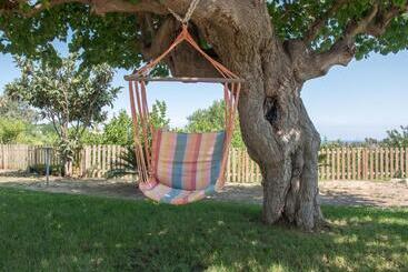 B&b Il Gelso Rooms