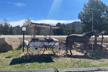 Saddle & Surrey Motel