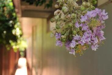 پانسیون Pure Land Guest House