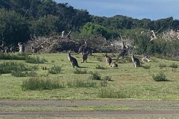 استراحتگاه Broadbeach Inverloch