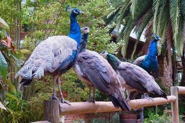 هتل Margaret River Hideaway & Farmstay
